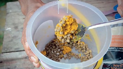 Diy Umpan   Umpan Sawit Busuk