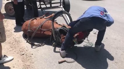 Bunaltıcı sıcakta yük ve insan taşıyan at, yere yığıldı