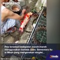 Geger Mbah-mbah Potong Ikan Hias Harga Puluhan Juta, Warganet Ramai Membela
