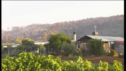 Ο κυνηγητικός σύλλογος Φθιώτιδας θα συμβάλλει στο δύσκολο έργο της δασοπροστασίας