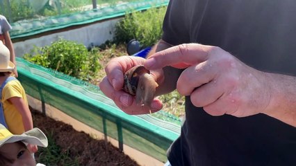 On vous emmène dans un élevage d'escargots