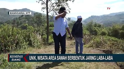 Video herunterladen: Manjakan Mata dengan Bentangan Sawah Lodok di Nusa Tenggara Timur, Sawah Jaring Laba-laba!