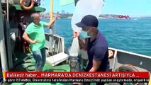 Balıkesir haber... MARMARA'DA DENİZKESTANESİ ARTIŞIYLA GELEN TEHLİKE SİNYALİ