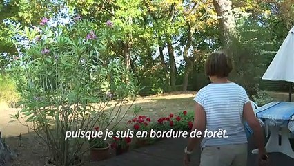 Incendies: des évacués retrouvent leurs maisons au Pyla-sur-Mer