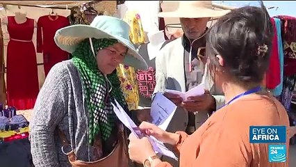 Preparation underway in Tunisia for constitutional referendum