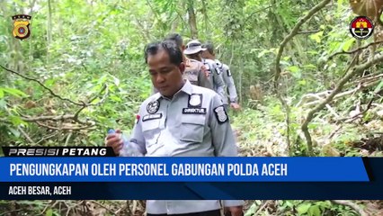 Polda Aceh Ungkap Dan Musnahkan Ladang Ganja Seluas Lebih Kurang 5,3 Hektar Di Pegunungan Lamteuba