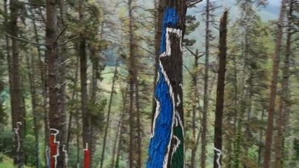 El nuevo Bosque de Oma podrá visitarse a partir del lunes