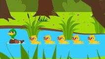 Beş Küçük Ördek - En Güzel Hayvanlı Şarkılar - Saymayı Öğrenelim