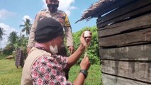 Satgas Aman Nusa II Polres Ketapang Bersama Dinas Peternakan Lakukan Penyuntikan Vaksin PMK Di Desa Suka Baru