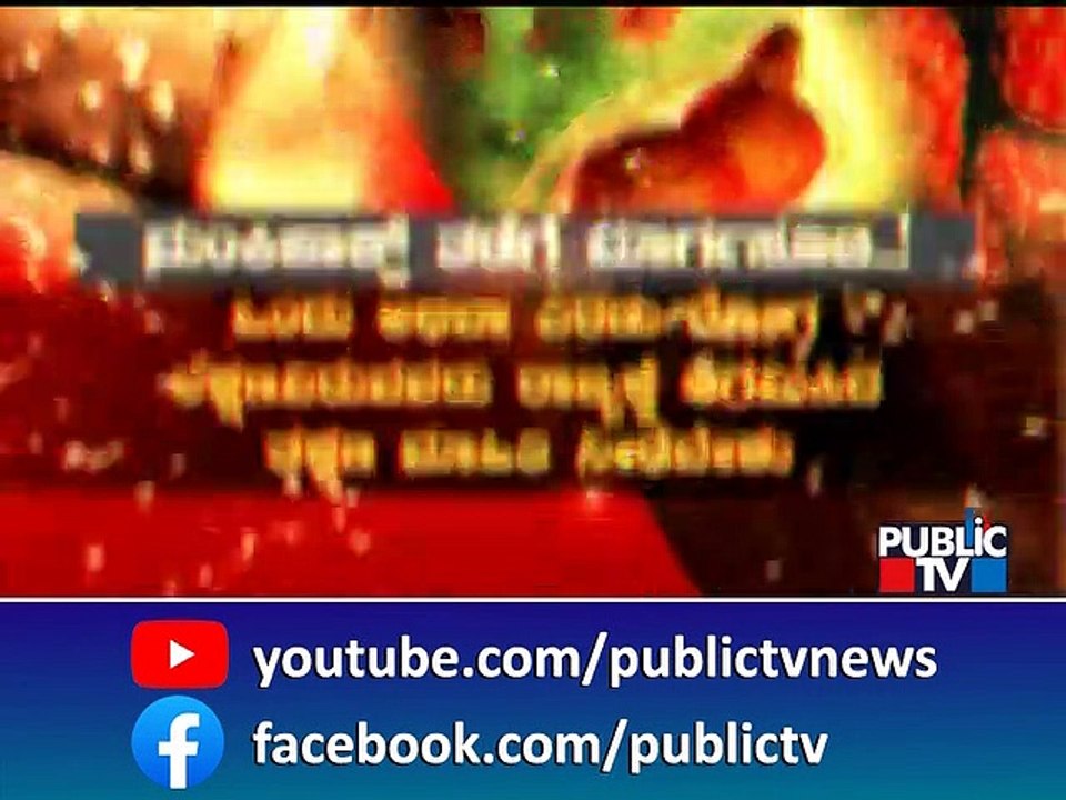 ಕೊರೋನಾ ಆಯ್ತು ಈಗ ಮಂಕಿ ಪಾಕ್ಸ್ ಕಾಟ..! | 2022 Monkey Pox Outbreak