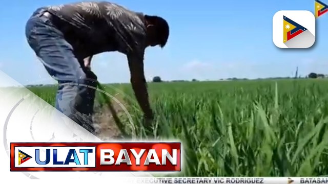 PBBM, pinangunahan ang pagbibigay pugay sa mga atletang lumahok sa Asian Games