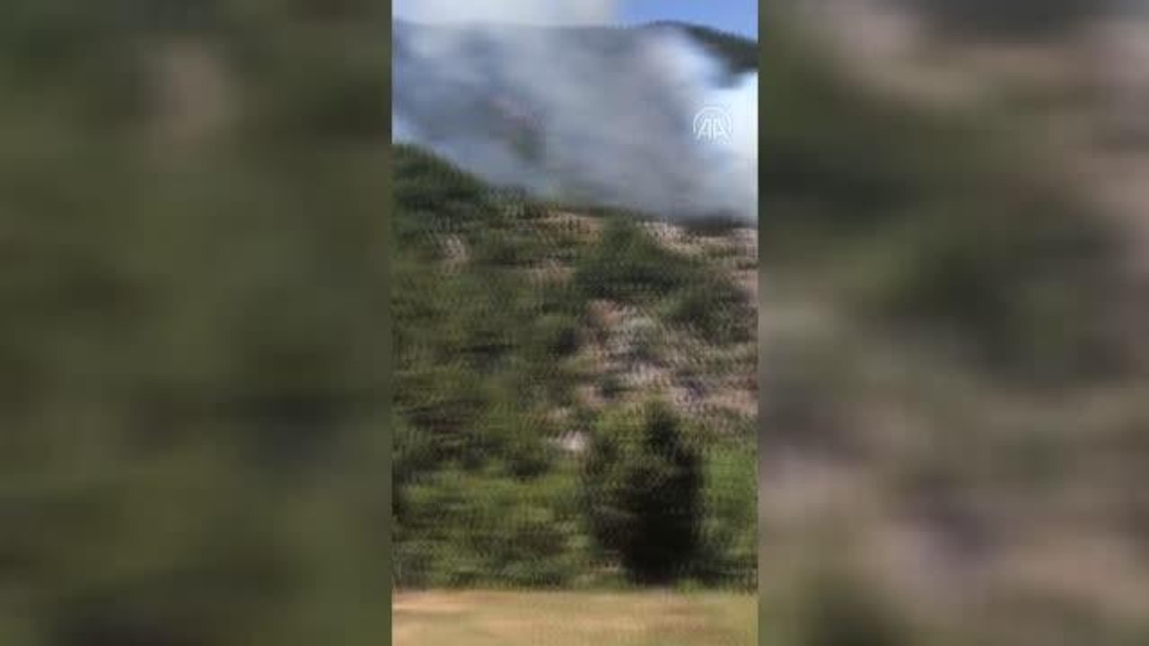 Son dakika haberi: Çıkan orman yangınına müdahale ediliyor