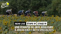 Une échapée de gros rouleurs / A breakaway with specialists  - Étape 19 / Stage 19 - #TDF2022