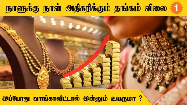 Gold Price தொடர்ந்து உயர காரணம் என்ன ?