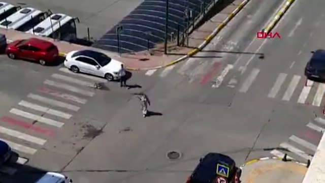 Pendik'te düğün salonuna kurşun yağmuru kamerada