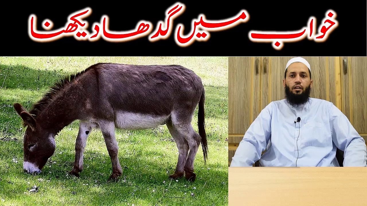khwab mein gadha dekhna | khwab me ghada dekhna | خواب میں گدھا دیکھنا