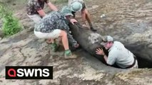 Heroic moment group of men team up to rescue baby elephant got stuck in a hole