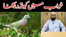 khwab mein kaboter dekhna | khwab mein kaboter dekhny ki tabeer | خواب میں کبوتر دیکھنا