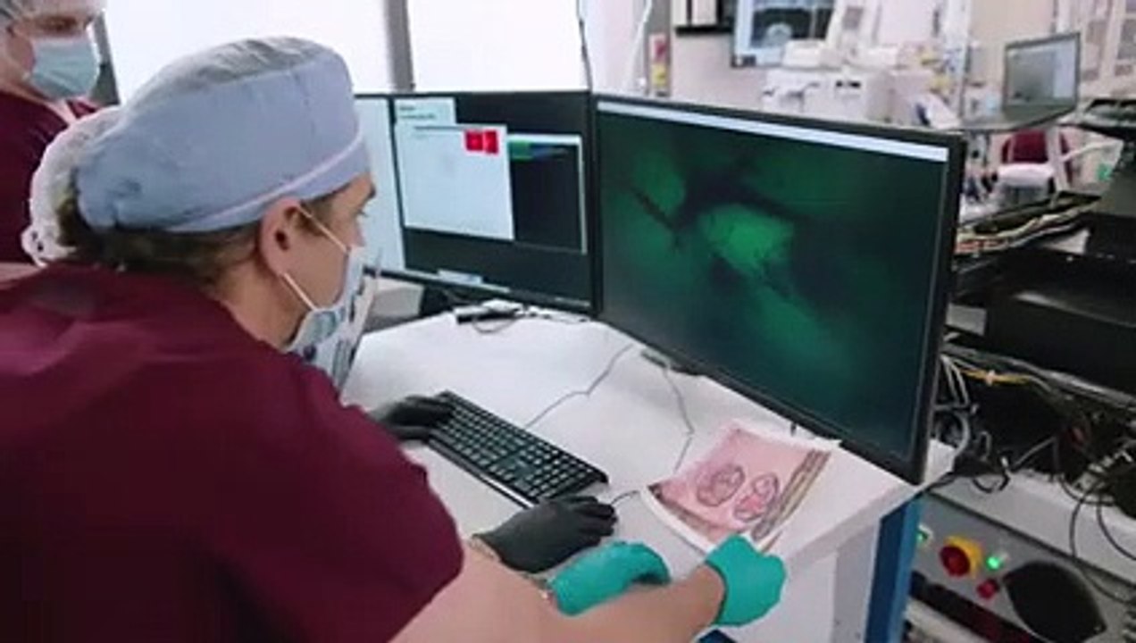 Everything You Need to Know About the Tesla Phone Model Pi 2022