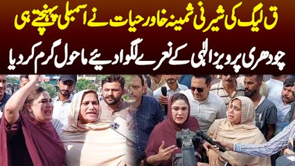 Q League Ki Sheri Samina Khawar Hayat Ne Assembly Pahunchte Hi Pervaiz Elahi Ke Naare Lagwa Diye