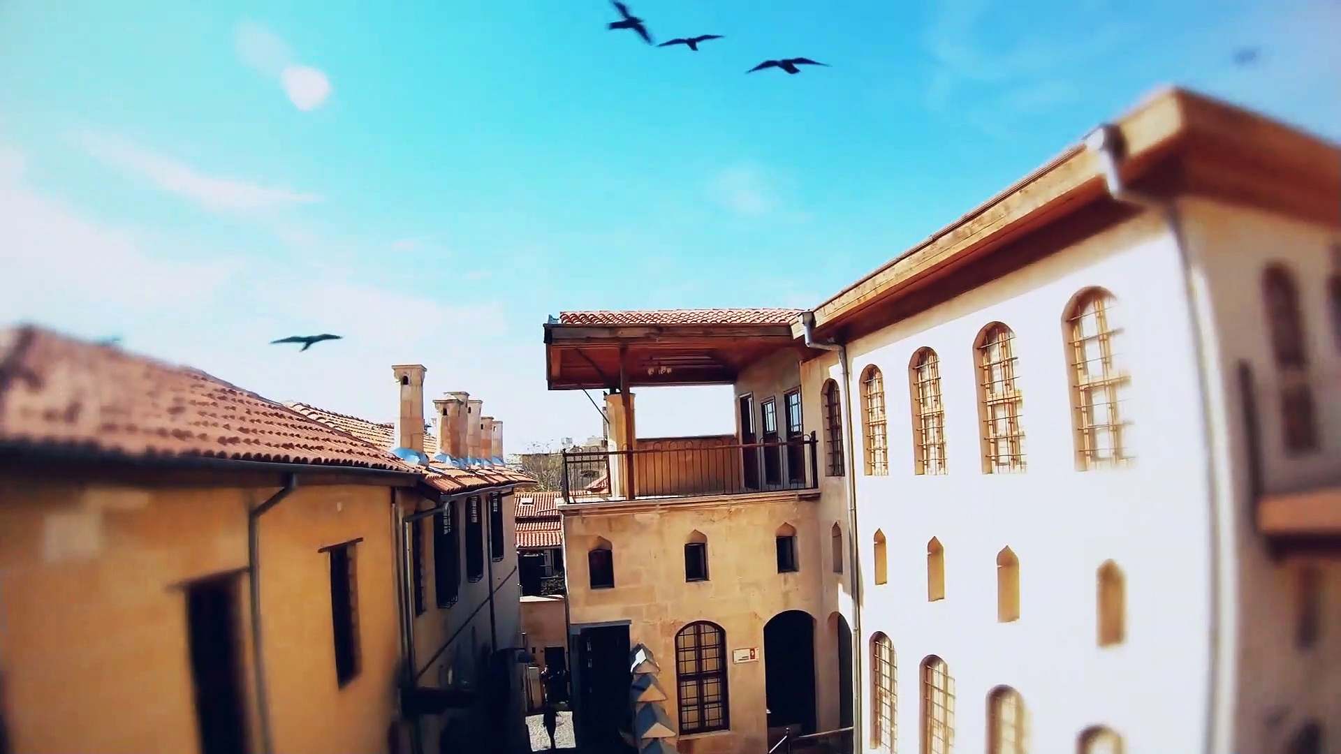 Güvercin / The Pigeon – Episode 8 (English Subtitles)