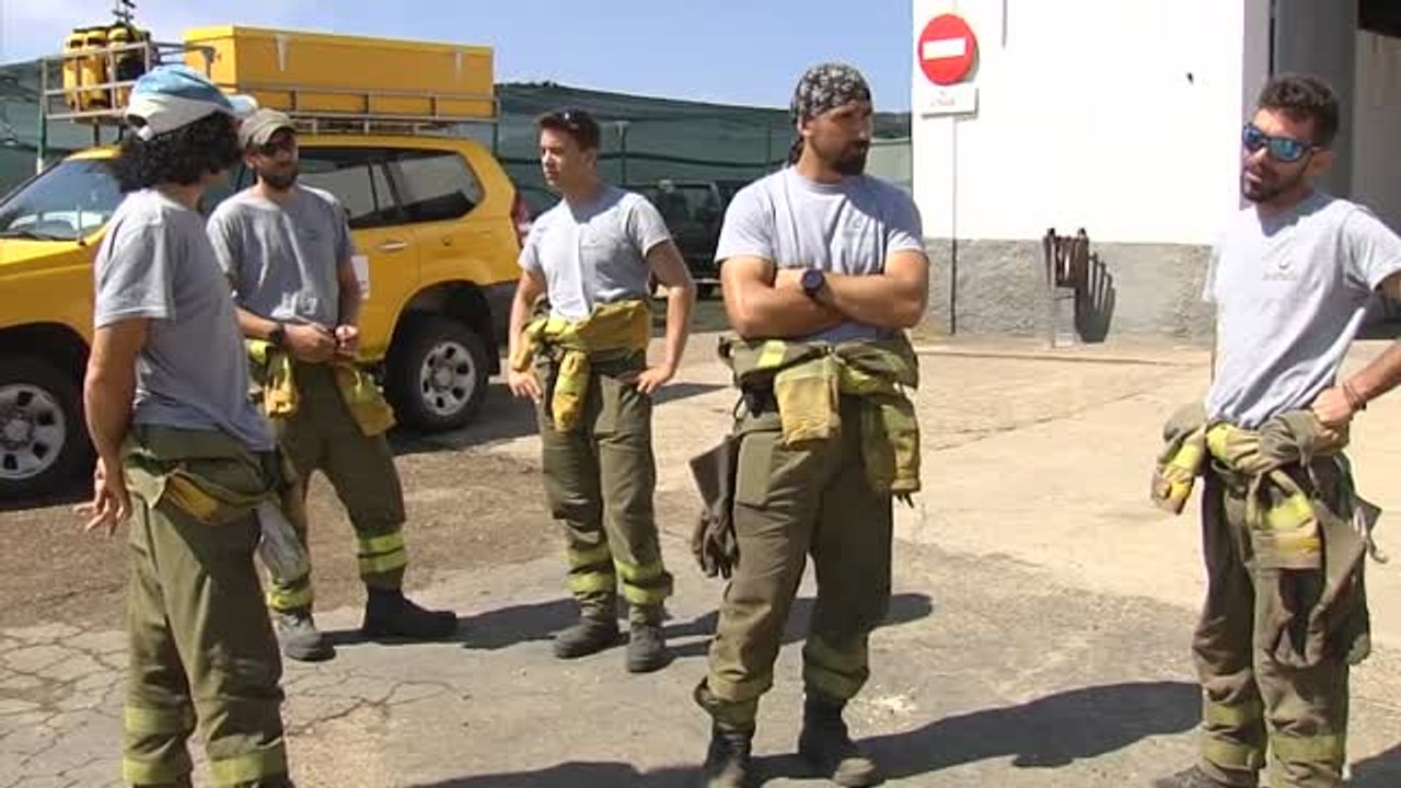 Miles de animales han muerto en los incendios que asolan España