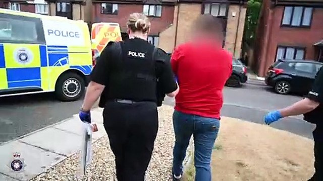 Northants Police make 14 arrests and dismantle eight cannabis factories in ONE DAY