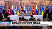 Ukraine and Russia sign vital grain export deal in Istanbul