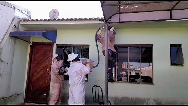 Após morador tentar fazer a retirada com fumaça, Defesa Civil é acionada para remover enxame de abelhas no Alto Alegre
