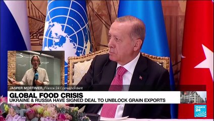 UN-led deal to ensure safe export of Ukraine's grain, peace still 'a long way off'