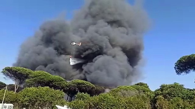 Ostia, fiamme in pineta, brucia l'ex campeggio Country Club