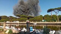 Ostia, incendio in pineta, brucia l'ex campeggio Country Club