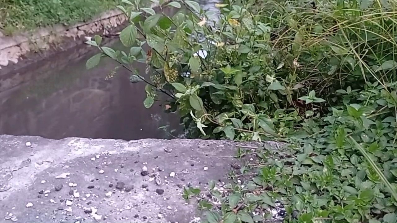 A LITTLE RIVER VIEW IN BALI