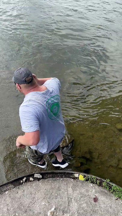 Man Catches Massive Sturgeon with Bare Hands
