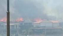 Son dakika haberleri | Seferihisar Doğanbey'deki Orman Yangını Kontrol Altına Alındı