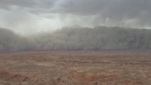 Sandstorm engulfs parts of northwestern China