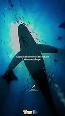 Stressed,tensed,sad❓Never worry,there's still hope❤.He's with youjust trust him & obey him✅