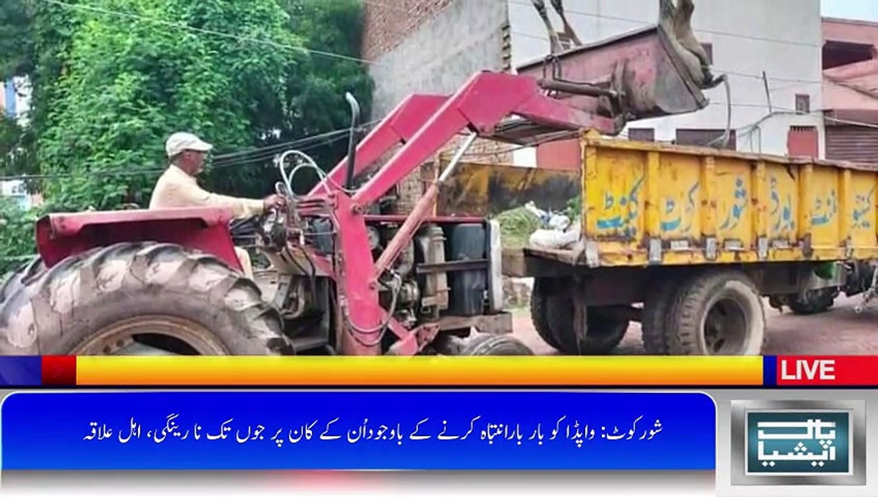 شورکوٹ: بجلی کے پول میں کرنٹ آنے کی وجہ سے لاکھوں روپے مالیت کی گائے ہلاک
