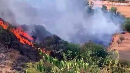 Las claves para comprender por qué el cambio climático multiplica los incendios en Europa
