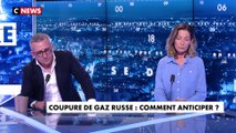 Céline Pina : «Étions-nous obligés d'être dépendants du gaz russe ?»