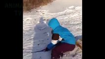 Ne peut pas arrêter de rire à Funny chiens neige échoue Compilation