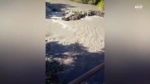 Barragem em Uberlândia se rompe e atinge rio Uberabinha
