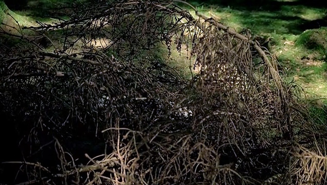 Atlantis Staffel 1 Folge 4