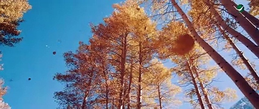 Tamer Hosny ... Zay Al Ayam De - 2022 _ تامر حسني ... زي الأيام دي