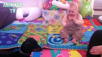 ESSAYEZ D'ARRÊTER DE RIRE Pendant que vous regardez ce BÉBÉ DRÔLE Riant de CHIENS et de CHATS