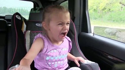 ESSAYEZ de ne pas PÉER du RIRE DE RIRE - FUNNIEST Safari Animals Compilation