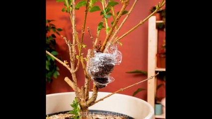 Kreatif Sederhana Namun Bermanfaat