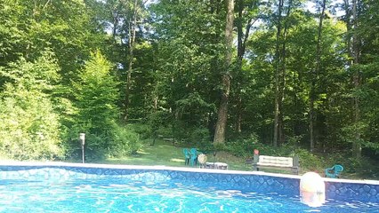 Inground Pool at Labrador Mountain House