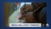 Mega Millions' jackpot hits $660 million