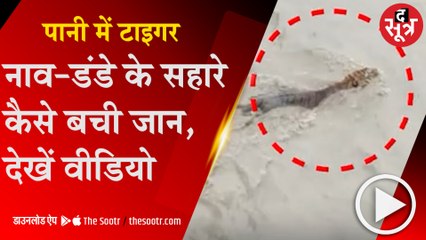 BAHRAICH: पानी की लहरों में फंसा TIGER, 5 घंटे तक चला रेस्क्यू